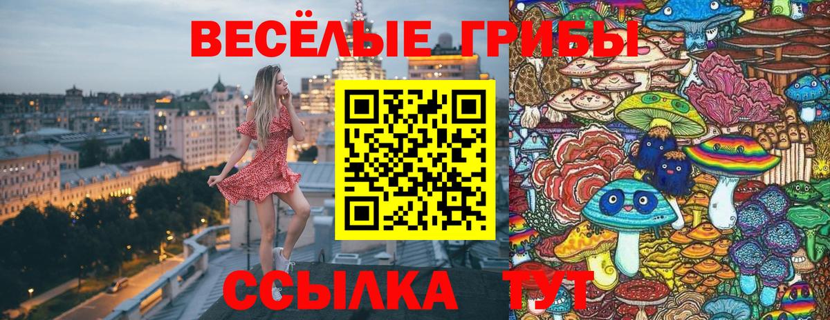 Кунгур  Псилоцибиновые грибы мицелий  Вход с VPN 